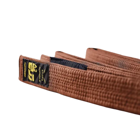 Ceinture de JJB Elion Squale, marron