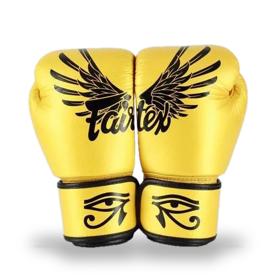 Gants de boxe d’entraînement Fairtex BGV1 Falcon