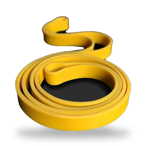 Élastique Excellerator 16 kg