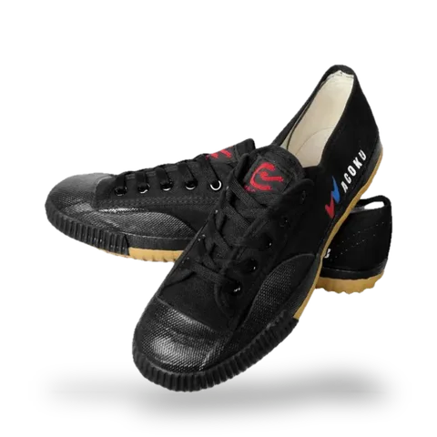 Chaussures Acoku kung fu
